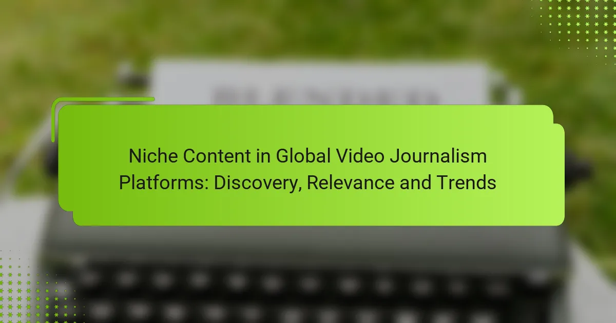 Niche Content in Global Video Journalism Platforms: Discovery, Relevance and Trends
