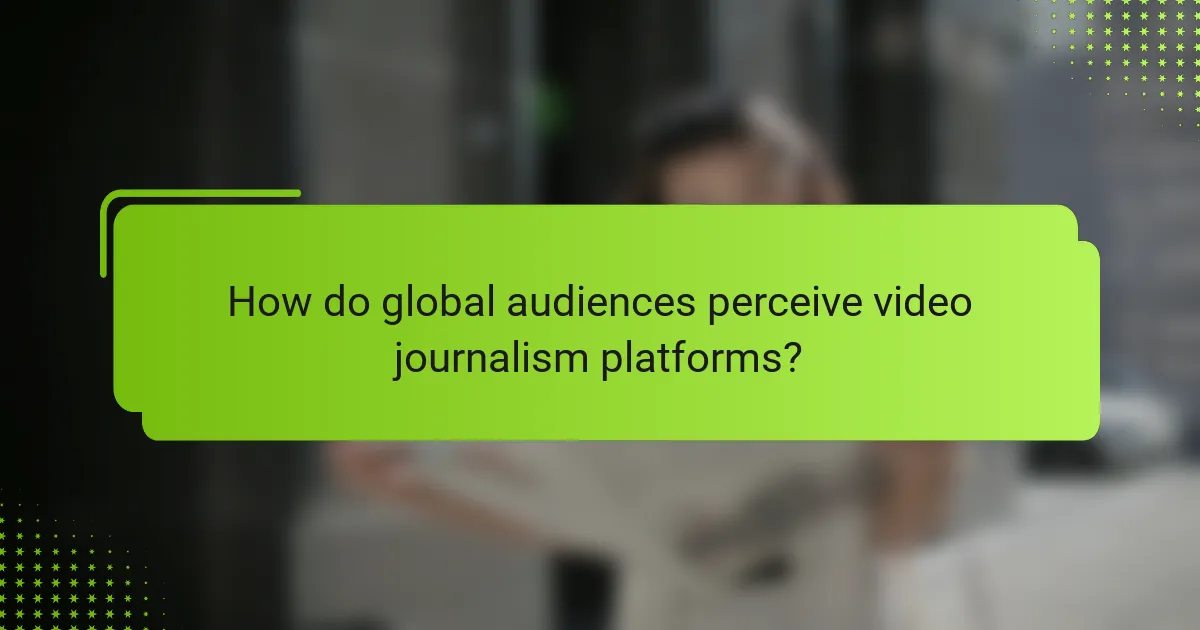 How do global audiences perceive video journalism platforms?