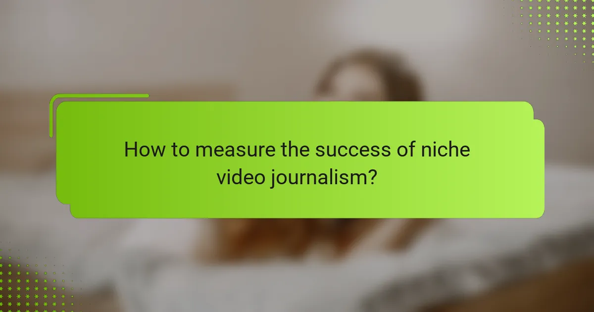 How to measure the success of niche video journalism?