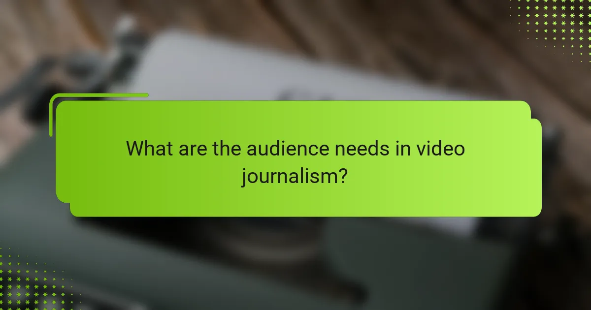 What are the audience needs in video journalism?