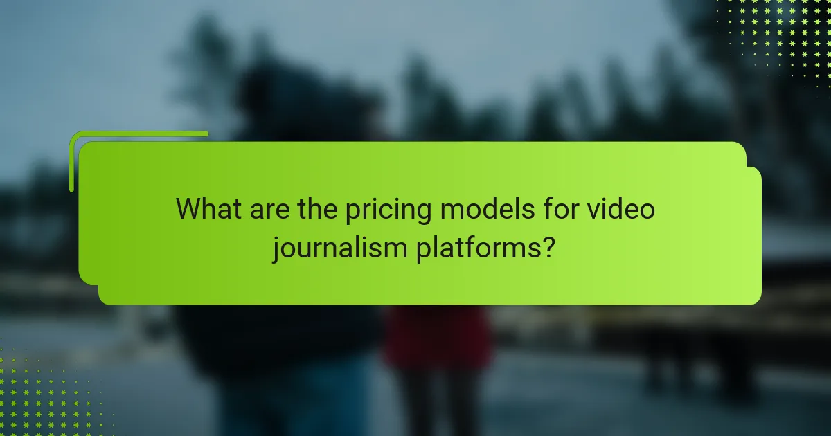What are the pricing models for video journalism platforms?